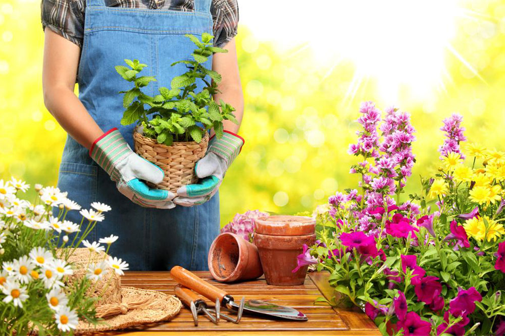 Eco-Friendly Ways to Care for Your Garden